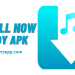 Tubidy APK Mp3 Music 1.3.9 Download for Android